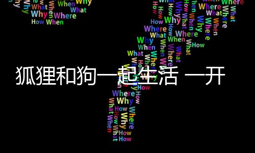 狐狸和狗一起生活 一开口狗里狗气 网友：都是犬科