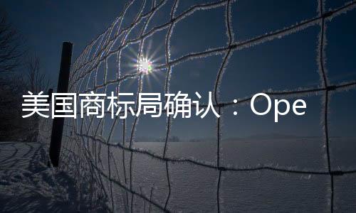 美国商标局确认：OpenAI 无法申请 “GPT” 商标