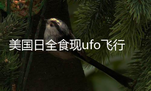 美国日全食现ufo飞行物 观众惊讶：那是什么？