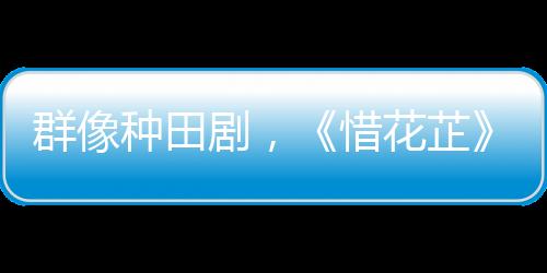 群像种田剧，《惜花芷》走出“上扬曲线”的创作密码 | 专访鄢蓓