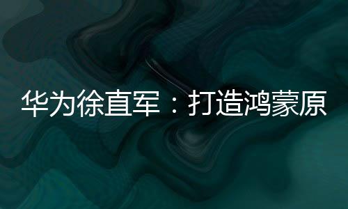 华为徐直军：打造鸿蒙原生应用生态 是华为2024年最关键的事情