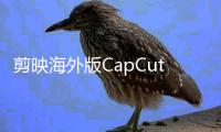 剪映海外版CapCut推文生视频功能 每人每天可免费生成5个视频