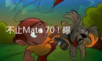 不止Mate 70！曝华为Mate X6下半年发布：折叠旗舰