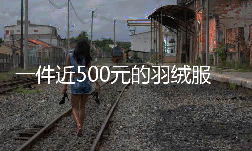 一件近500元的羽绒服仅赚3毛 胖东来回应：属实