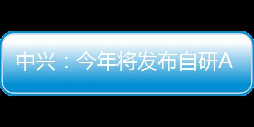 中兴：今年将发布自研AI大模型以及AI旗舰终端