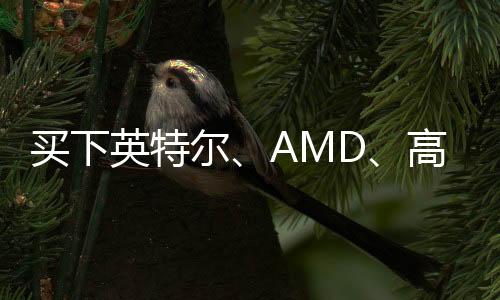 买下英特尔、AMD、高通分分钟的事！黄仁勋：CPU是过去式了