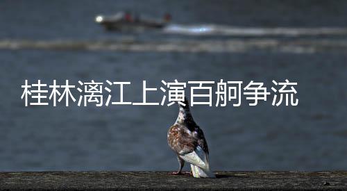 桂林漓江上演百舸争流 网友：一种要进攻水泊梁山的感觉