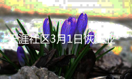 天涯社区3月1日恢复业务 计划推出社交电商平台