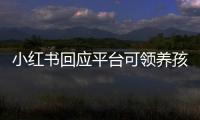 小红书回应平台可领养孩子：已清理 坚决抵制违法交易