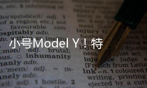 小号Model Y！特斯拉全新入门车型曝光：约售18万