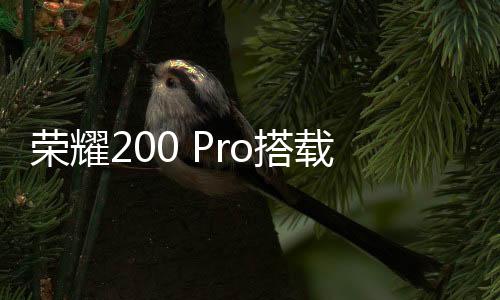 荣耀200 Pro搭载绿洲护眼屏：支持3840Hz高频PWM调光