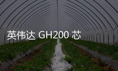 英伟达 GH200 芯片部署到全球 9 个计算机中