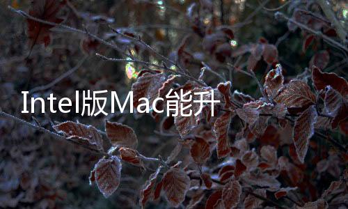 Intel版Mac能升级macOS Sequoia！但却无缘最重磅功能