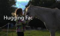Hugging Face Course官网体验入口 Hugging Face平台API使用方法教程
