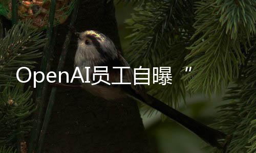 OpenAI员工自曝“996”加班实锤 ChatGPT热潮下工作生活失衡