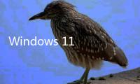Windows 11 24H2版本首发！微软将推“热补丁”：更新不用重启了