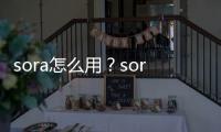 sora怎么用？sora从哪里下载？sora提示词教程 附30个sora提示词案例